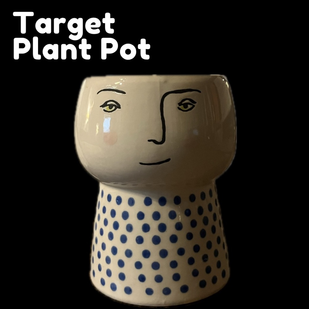 Target Plant Pot